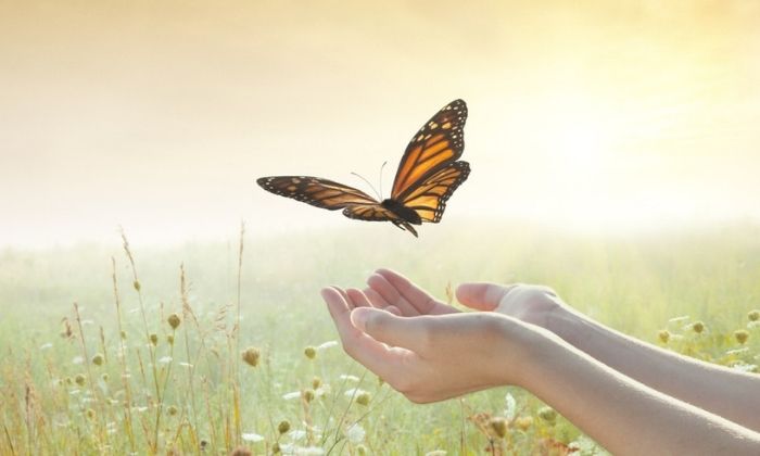 5 claves para empezar a vivir